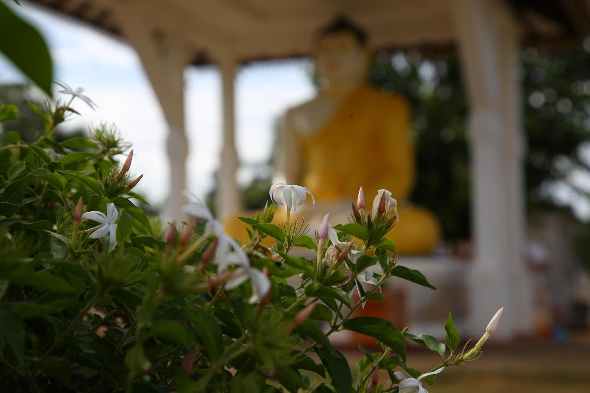 The Yala City Guest House Tissamaharama Extérieur photo