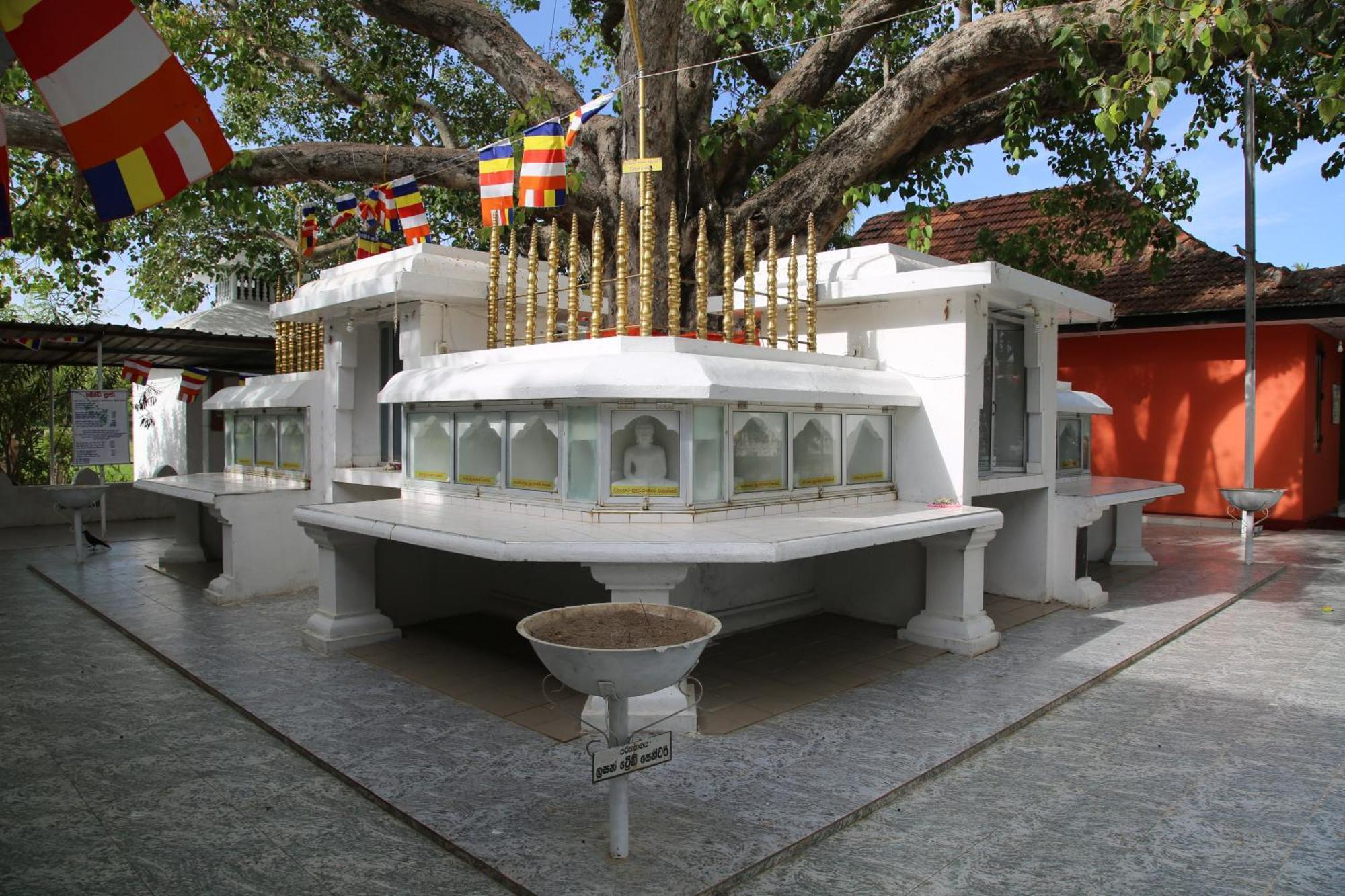 The Yala City Guest House Tissamaharama Extérieur photo