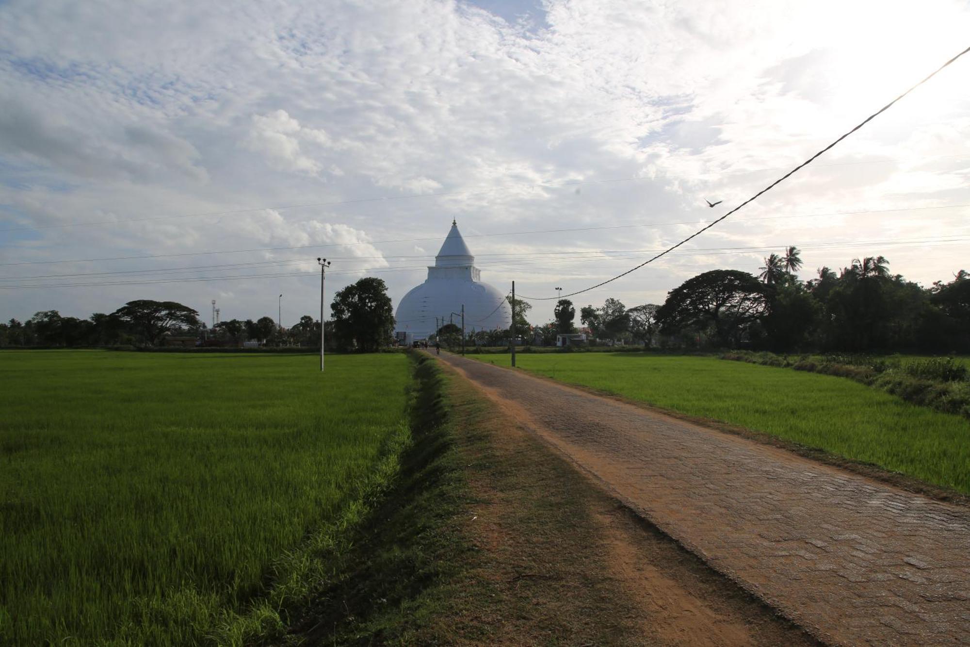 The Yala City Guest House Tissamaharama Extérieur photo