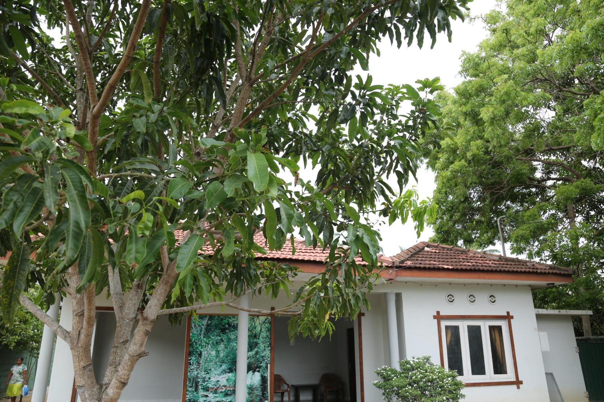 The Yala City Guest House Tissamaharama Extérieur photo