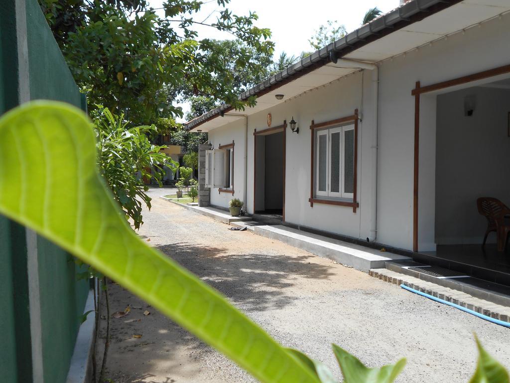 The Yala City Guest House Tissamaharama Extérieur photo