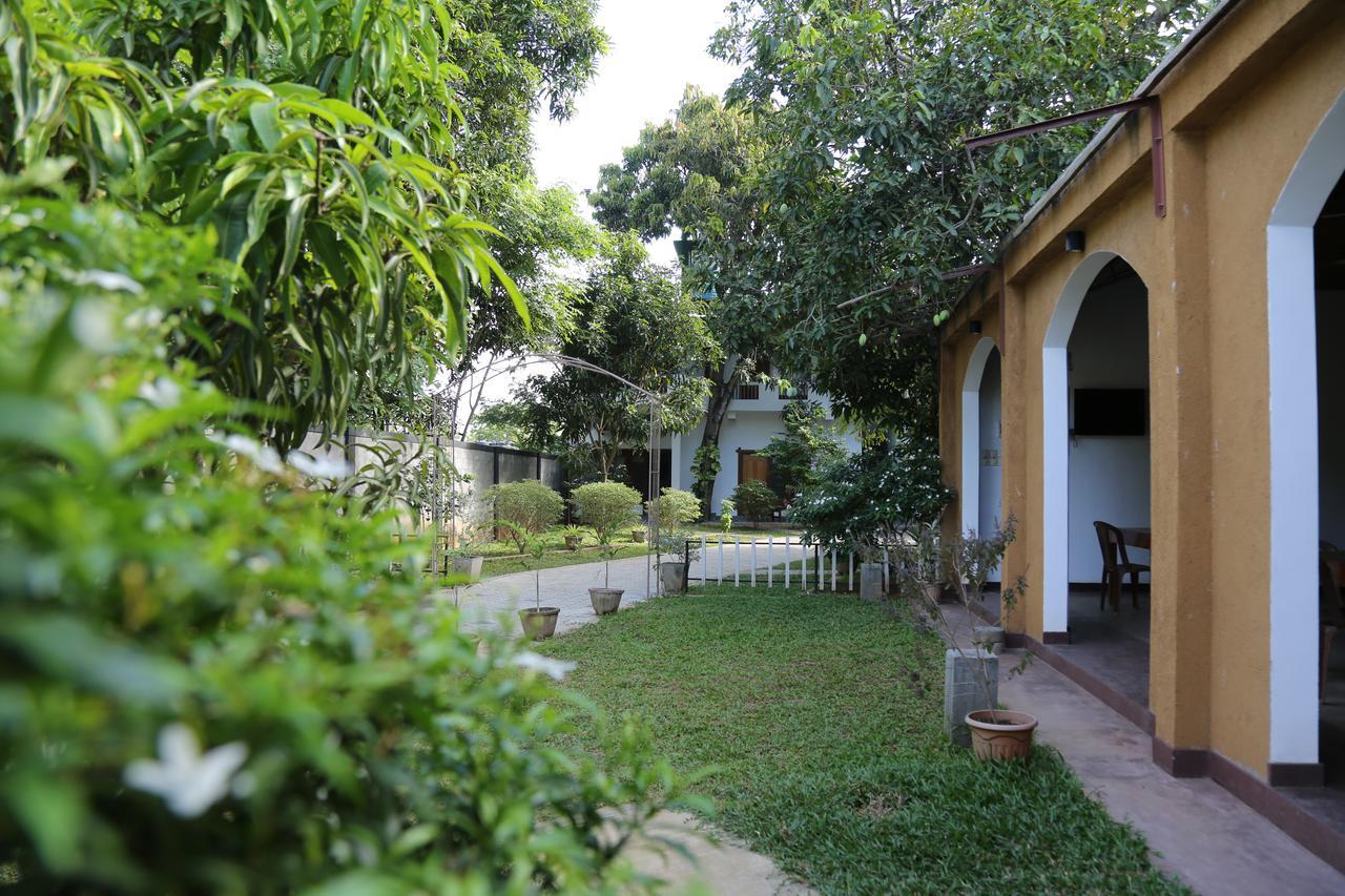 The Yala City Guest House Tissamaharama Extérieur photo