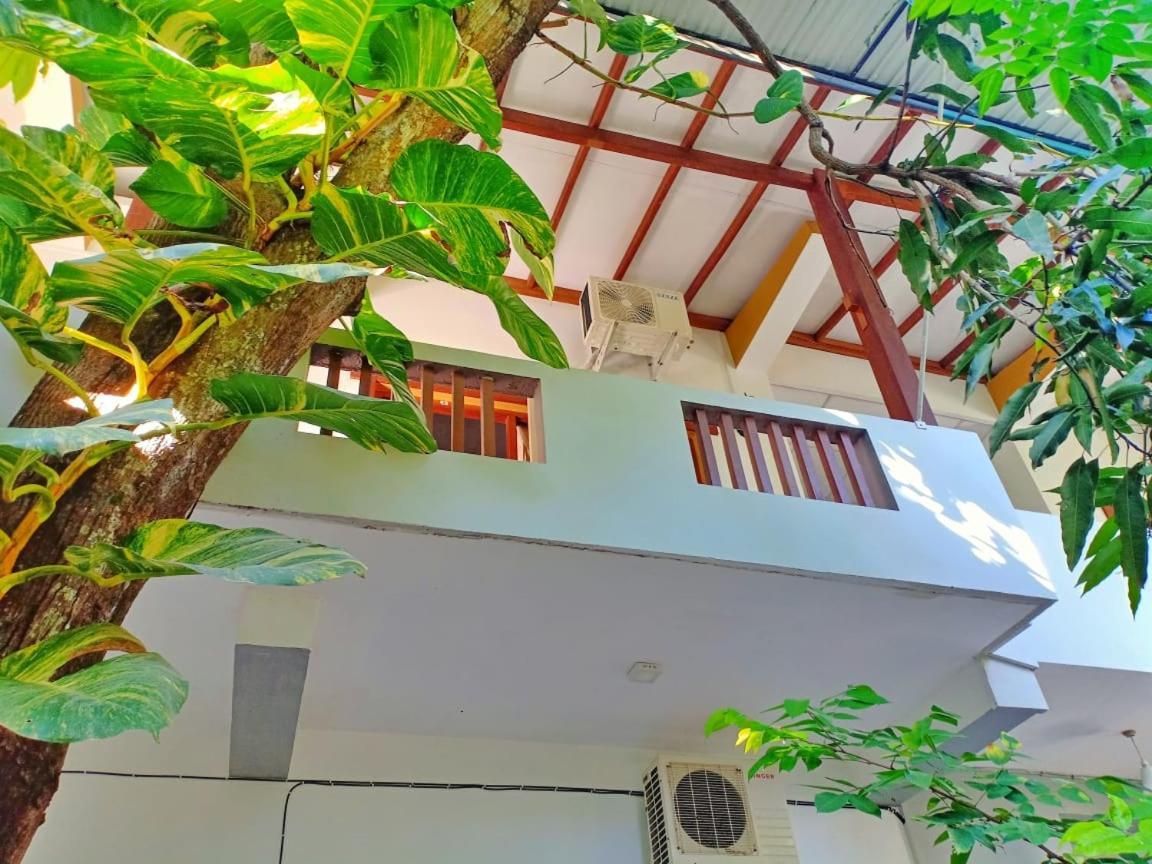 The Yala City Guest House Tissamaharama Extérieur photo