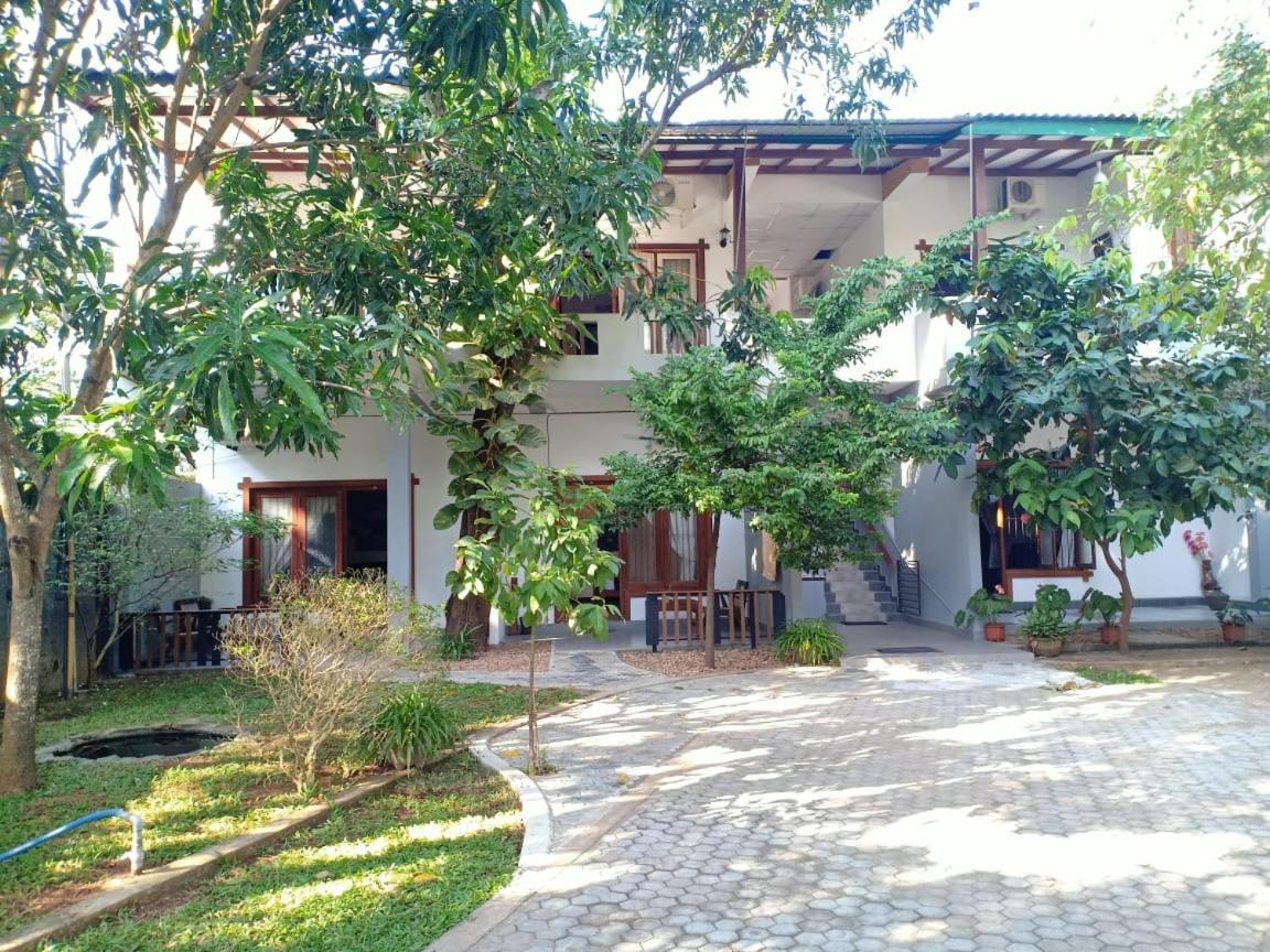 The Yala City Guest House Tissamaharama Extérieur photo
